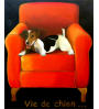 Vie de chien