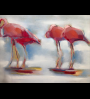 Flamingos