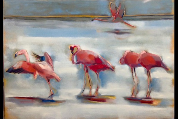 Flamingos