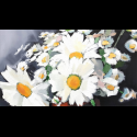 Marguerites