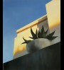 Aloes