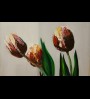 Vase aux trois tulipes