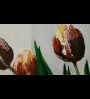 Vase aux trois tulipes