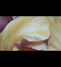 Iris N°3