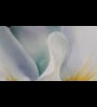 IRIS BLANC